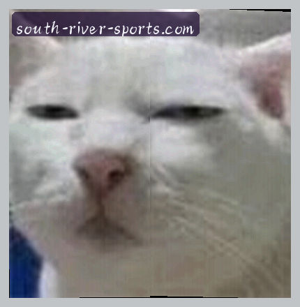 张磊